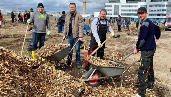 1050 Bäume und Sträucher für Magdeburg