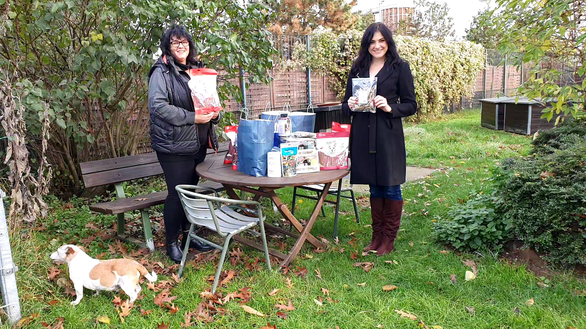 Altenheim für Hunde