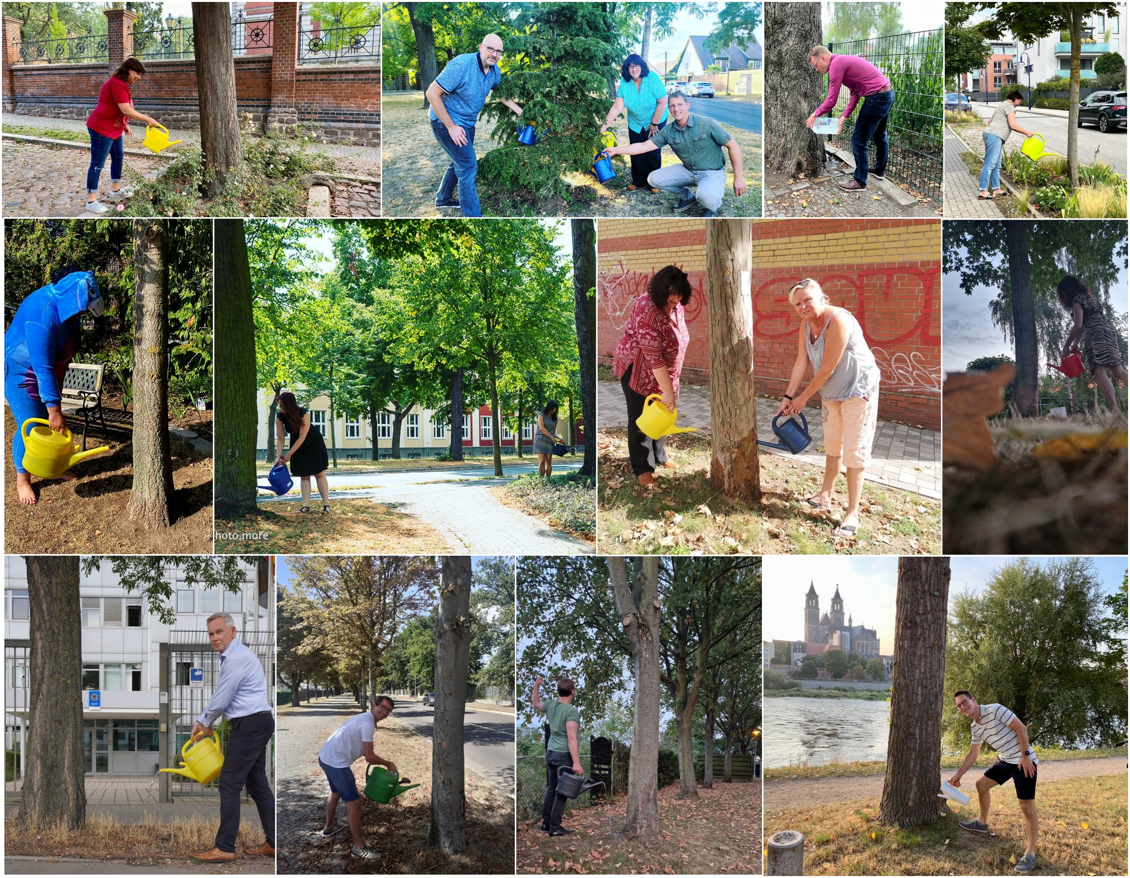 Löwen wässern Stadtgrün